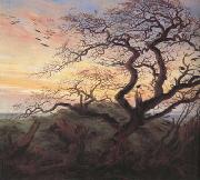 Caspar David Friedrich Tree with Crows (mk10) oil painting artist